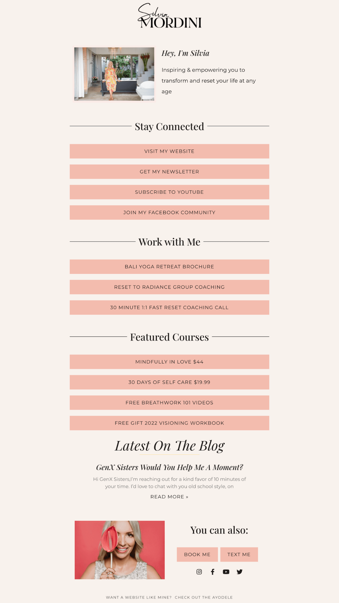 WordPress website developer