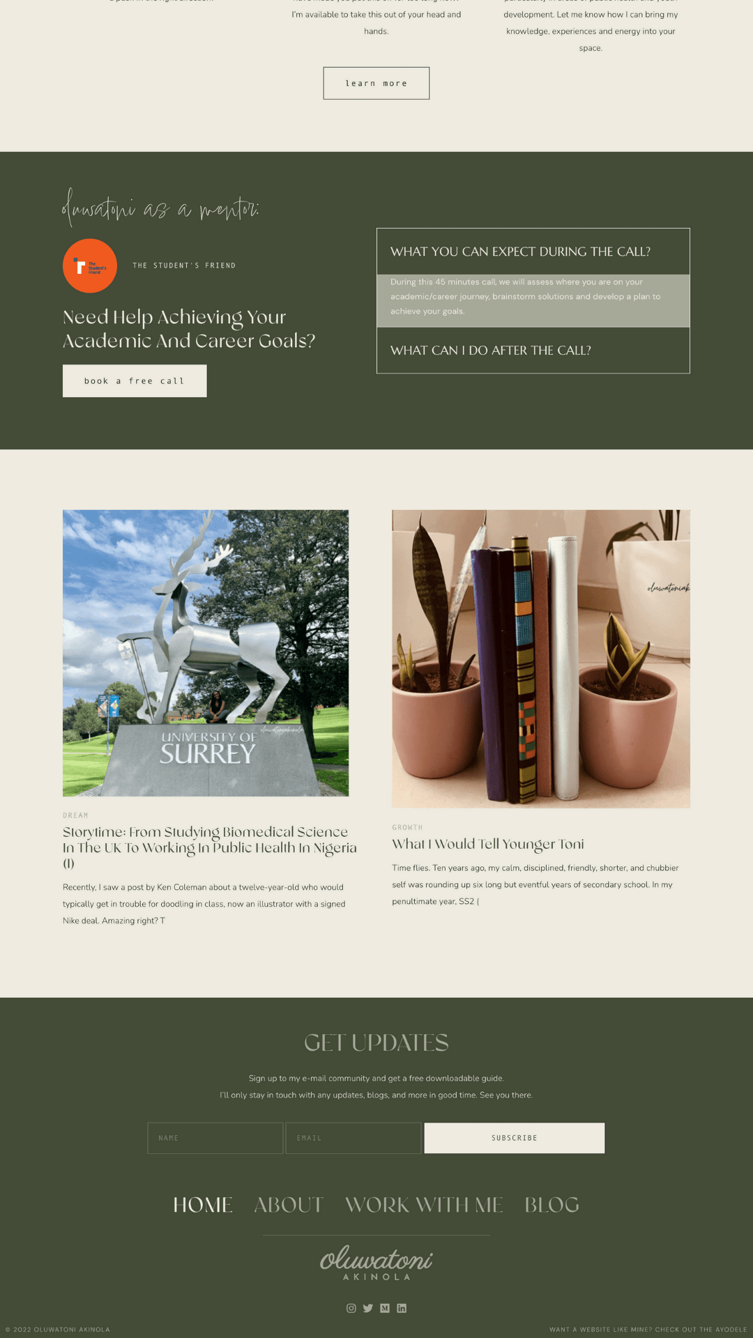 WordPress website developer